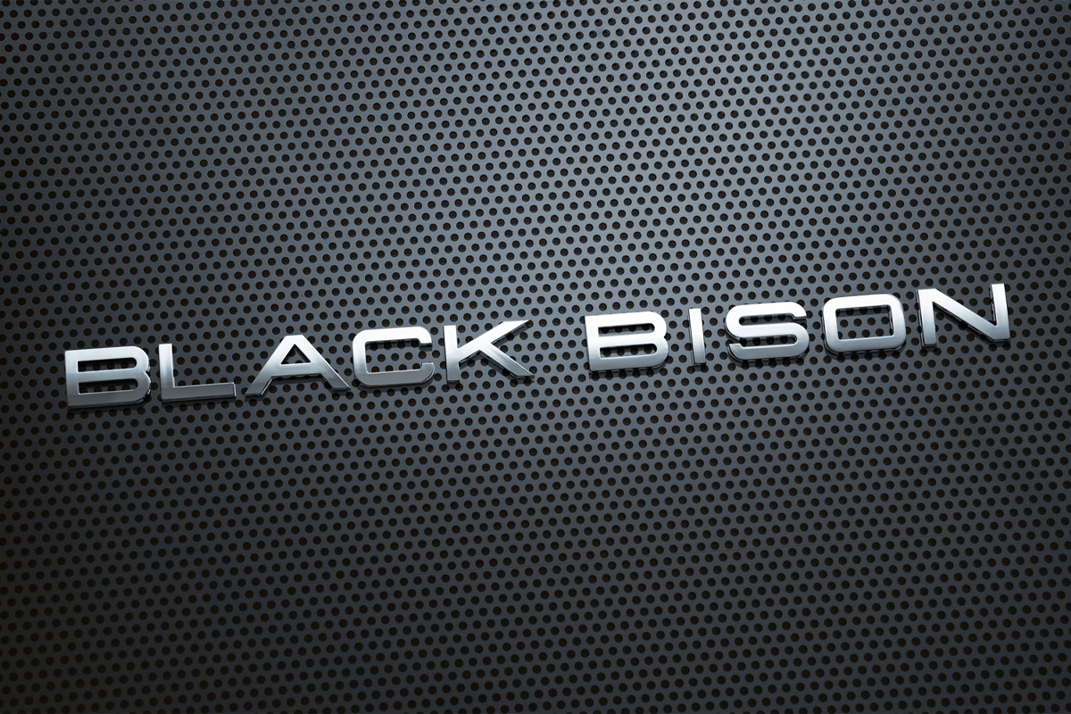 WALD Black Bison separate chrome letters arranged across a perforated black panel