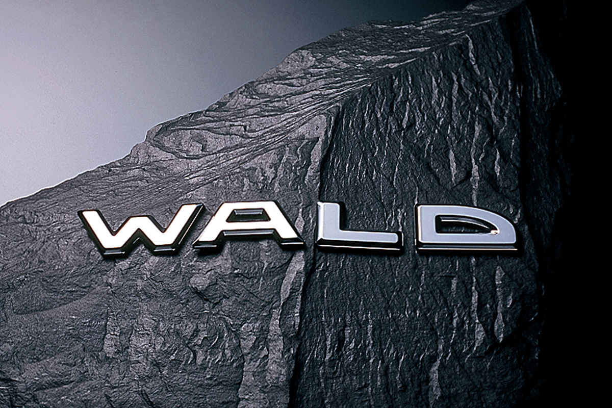 WALD Separate Emblem chrome lettering mounted on a dark stone surface