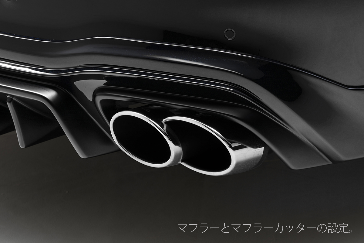 WALD W223 oval exhaust cutter and muffler detail on the Mercedes S-Class